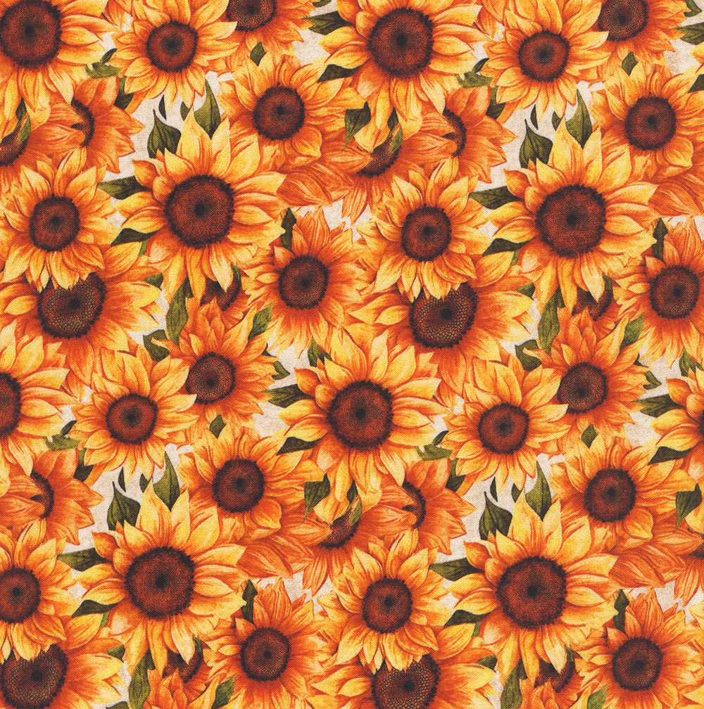 Quilting Treasures Sunflower Serenade Dan Morris White Yellow